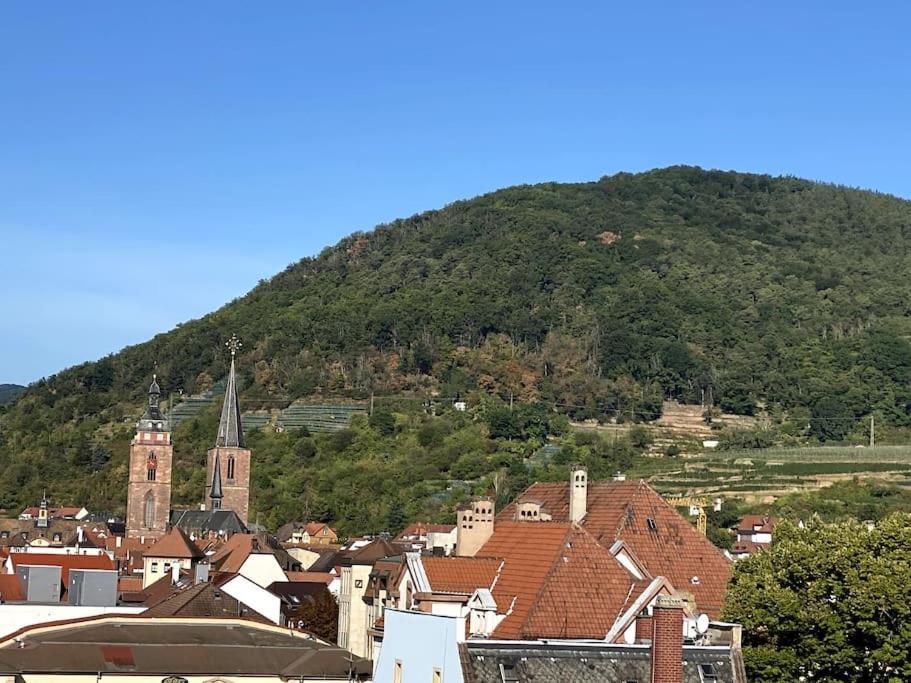 Modernes City-Appartement Neustadt an der Weinstraße Exteriér fotografie